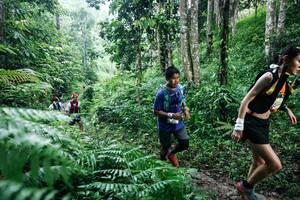 BIB: 
                            <button type="button" onclick="openModal(26359863)" class="btn btn-primary btn-sm float-right btn-popup" data-toggle="modal" data-target=".modal-high-quality">
                        <i class="fas fa-shopping-cart"></i> Add to Cart
                    </button>
                                            <button type="button" onclick="isThisMe(26359863, true)" class="btn btn-success btn-sm float-right btn-popup btn-isme hidden" data-toggle="tooltip" data-placement="bottom" title="นี่คือรูปของคุณใช่ไหม คลิกที่นี่เพื่อเอาเข้าอัลบั้ม">
                        <i class="fas fa-plus"></i> Add to album
                    </button>
                    <button type="button" onclick="isThisMe(26359863, false)" class="btn btn-warning btn-sm float-right btn-popup btn-isnotme hidden">
                        <i class="fas fa-ban"></i> Remove from album
                    </button>